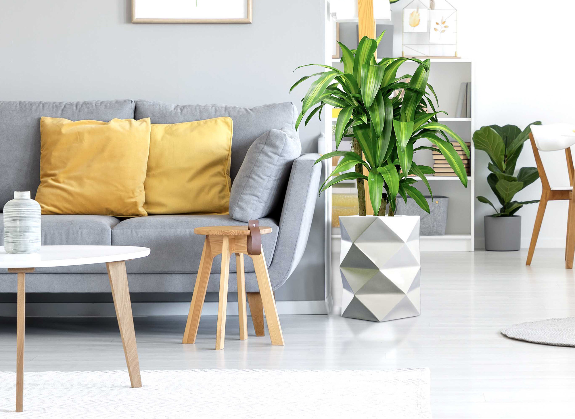 Real photo of an open space interior with yellow cushions and blanket on gray sofa in the living area and wooden table and chairs in the dining area