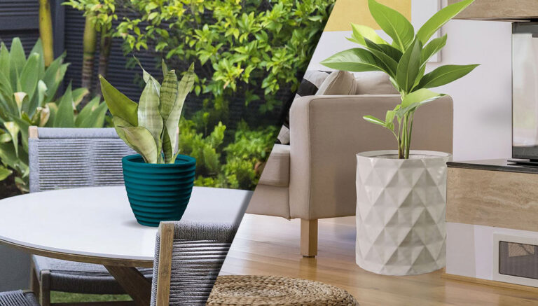 All You Need to Know About Fiberglass Planters